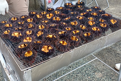 種市うに祭り