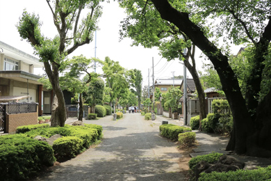 大宮盆栽村
