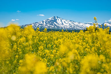 鳥海山