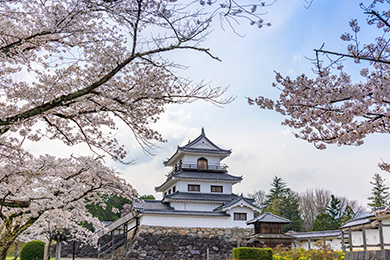 宮城県 白石市 白石城