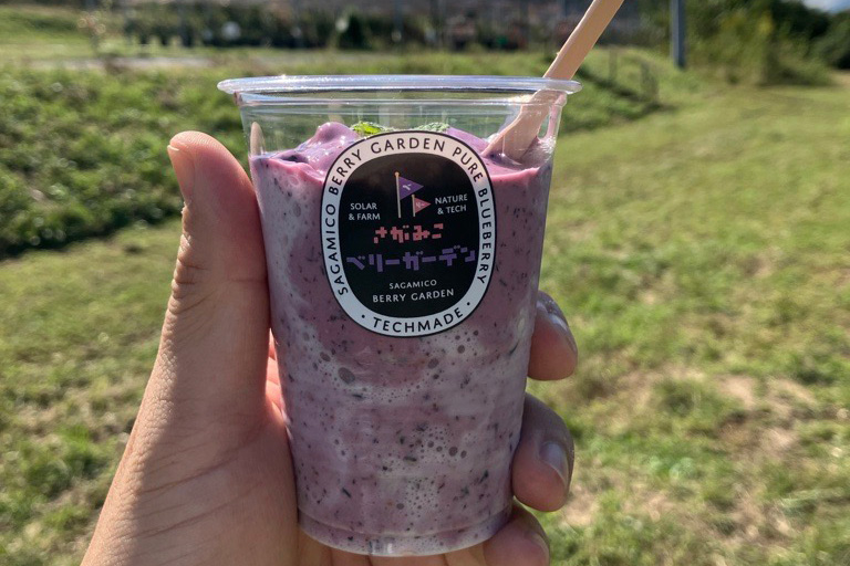 さがみこベリーガーデン