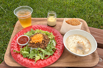 なごアグリパークのタコライスとこだわりアラカルトセット