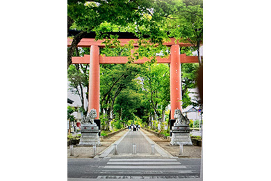 武蔵一宮 氷川神社