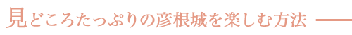 見どころたっぷりの彦根城を楽しむ方法