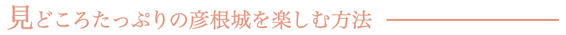 見どころたっぷりの彦根城を楽しむ方法