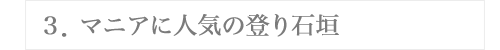 ３．マニアに人気の登り石垣