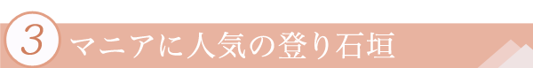 3.マニアに人気の登り石垣