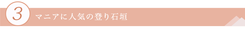 ３．マニアに人気の登り石垣