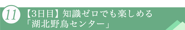 １１．【3日目】知識ゼロでも楽しめる「湖北野鳥センター」