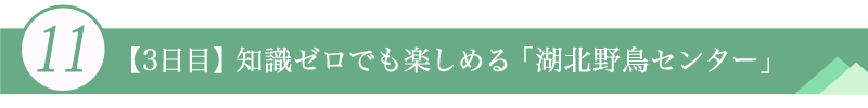 １１．【3日目】知識ゼロでも楽しめる「湖北野鳥センター」