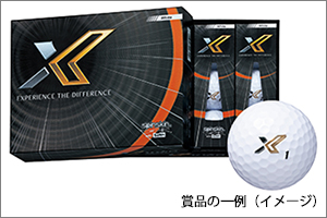 賞品の一例(イメージ)