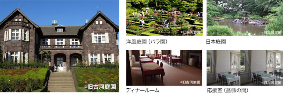 旧古河庭園 / 洋風庭園(バラ園) / 日本庭園 / ディナールーム / 応援室(薔薇の間)