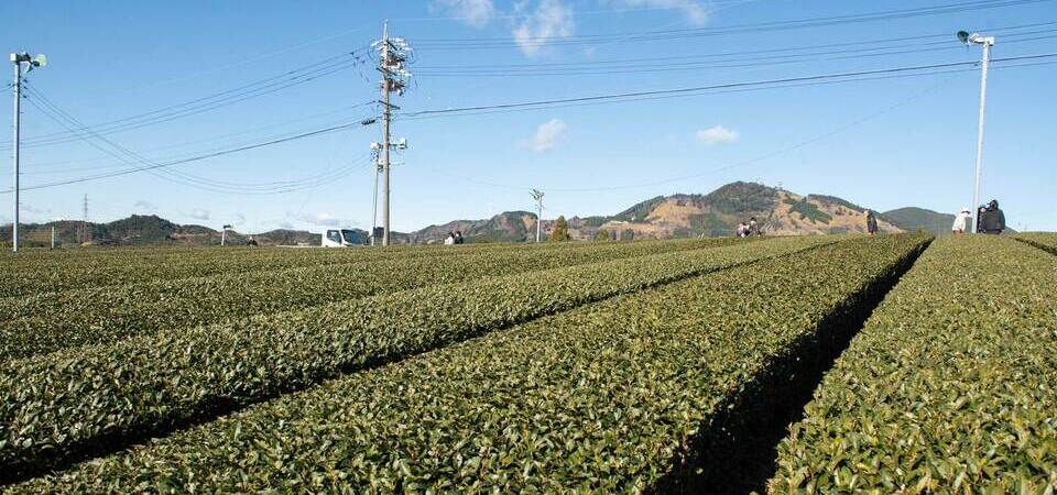 地域滞在型ワーケーション